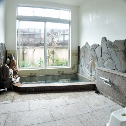 Kodofuki Onsen Minshuku Hashiba - Shizuoka