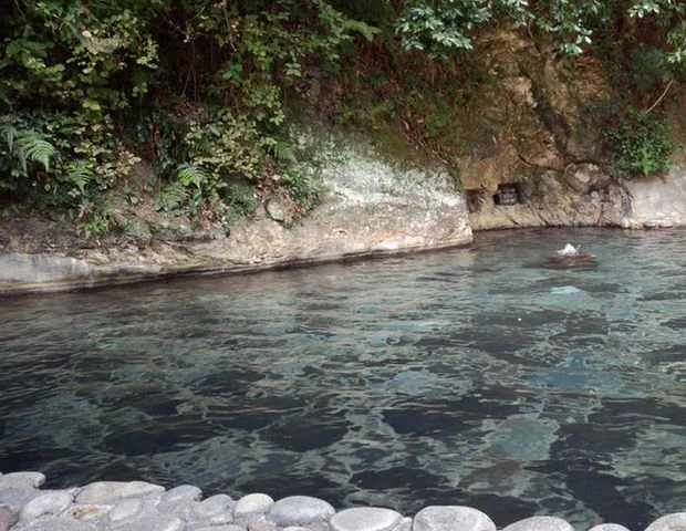 石部温泉 いでゆ荘(閉館しました)