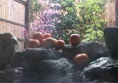 風のぼん - 伊東 - 静岡県