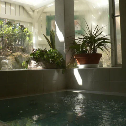 ガラスの仔犬 - 静岡県