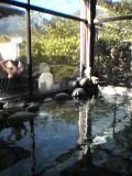 踊り子温泉会館