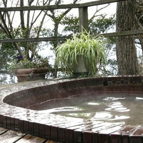 Beagle Resort Pension, Atagawa Onsen - Shizuoka