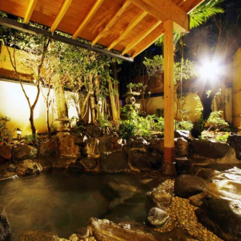 Toi Onsen Hotel Minamiso - Shizuoka