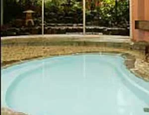 あやめの宿(旧 あやめ荘)(閉館しました)