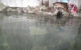沢田公園露天風呂
