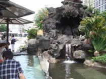 家康の湯(足湯)