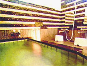 Kumemi Onsen Minshuku Sanraku-so - Shizuoka