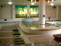 Health Center Finland - Aichi