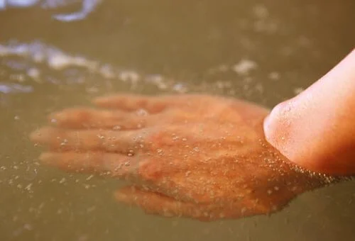 フォトアルバム6