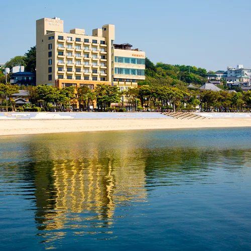 トップメイン画像5