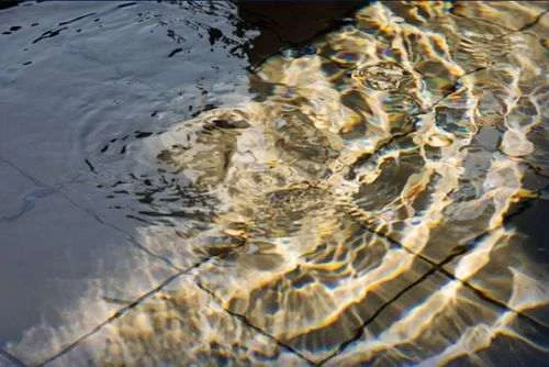 フォトアルバム4