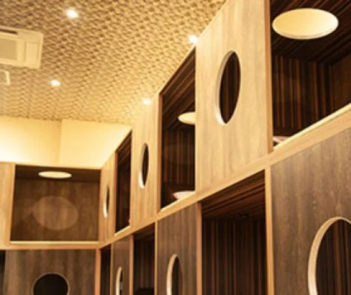 フォトアルバム19