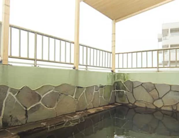 南知多観光ホテル 大新(閉館しました)