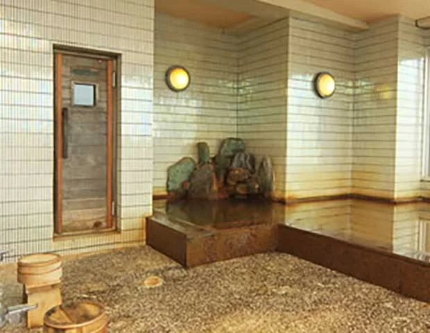 南知多観光ホテル 大新(閉館しました)