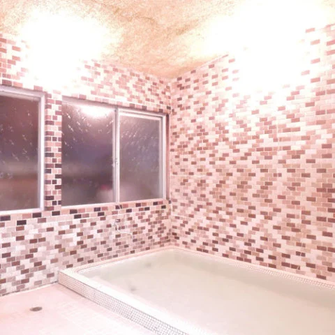 夏焼温泉 青柳亭 - 愛知県