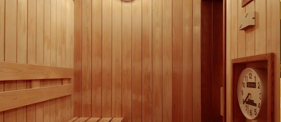 トップメイン画像3