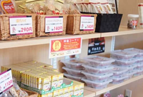 フォトアルバム17