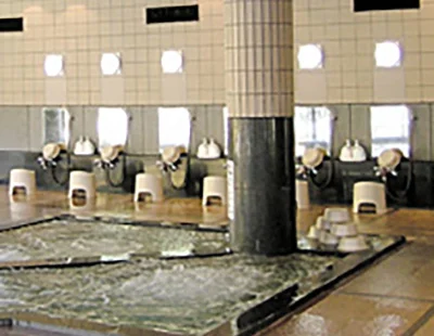 鳳来ゆ～ゆ～ありいな