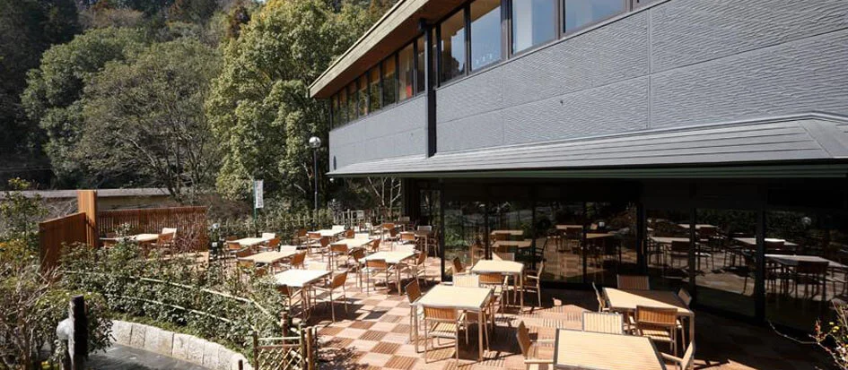 トップメイン画像4