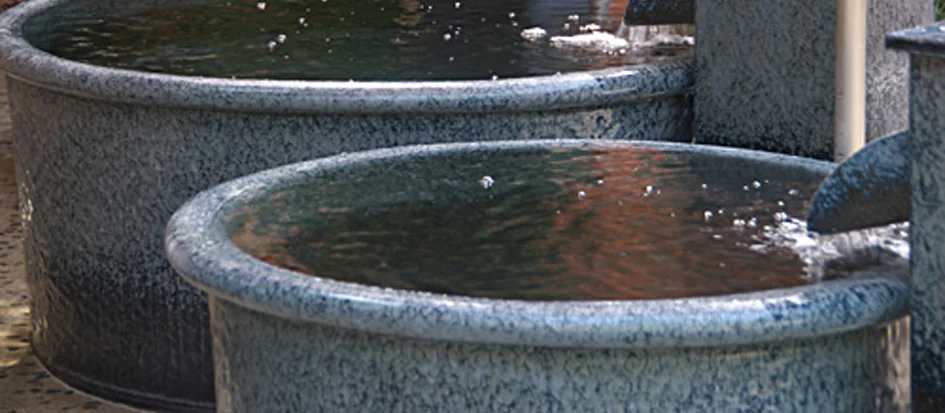 トップメイン画像2