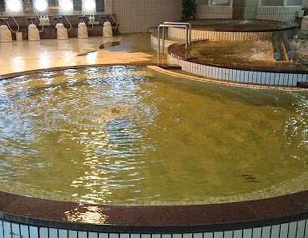 富吉天然温泉　いづみの湯（閉館しました）