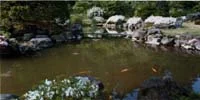 藤島旅館
