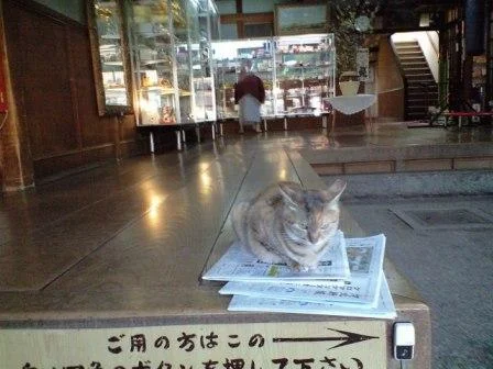 藤島旅館