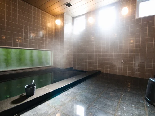 Aoi-no-Yu Super Hotel Okazaki Natural Hot Spring - Aichi