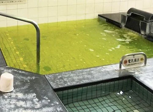 フォトアルバム3