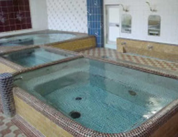 はなぞの湯（閉館しました）