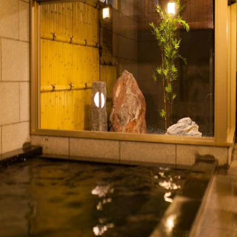 Natural Hot Spring Ansho no Yu Super Hotel Anjo Station - Aichi