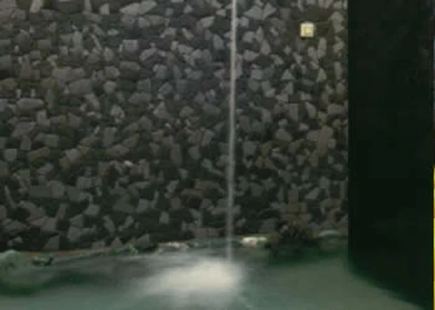 丸屋玉ノ湯（閉館しました）