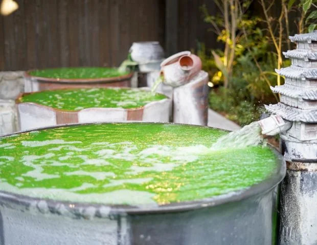 西尾温泉 茶の湯