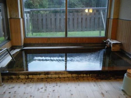 中山平温泉 星の湯旅館(閉館しました)