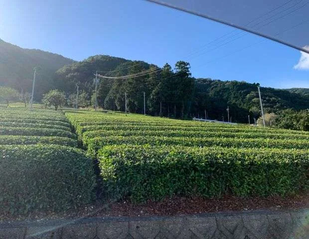 天然温泉 湯元 湯華の郷 （ゆげのさと）