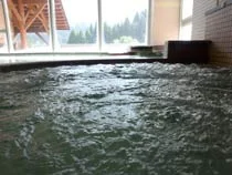 大白川温泉 しらみずの湯