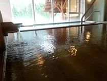 大白川温泉 しらみずの湯