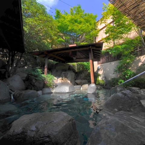 Gero Onsen Koyo-kan Bekkan Wanpaku-tei - Gifu