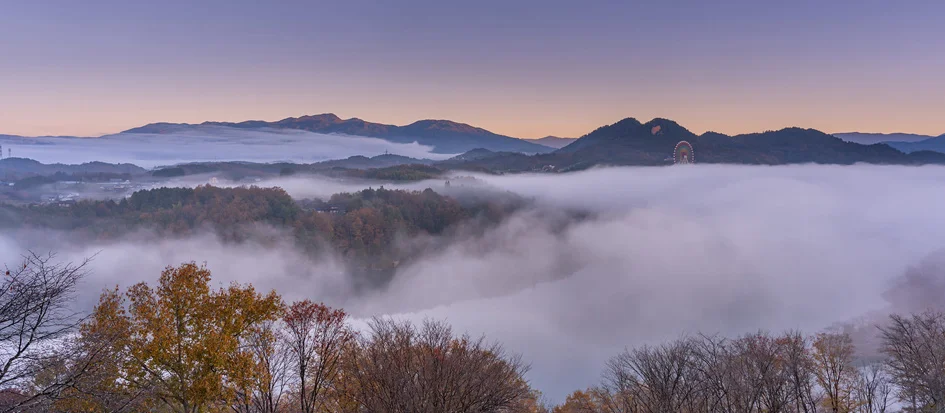 トップメイン画像4