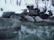 いろりの宿 かつら木の郷