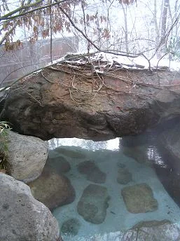 いろりの宿 かつら木の郷