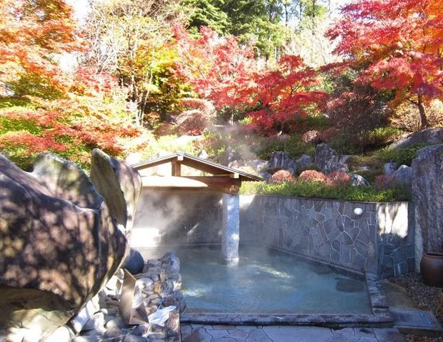 飛騨川温泉 しみずの湯