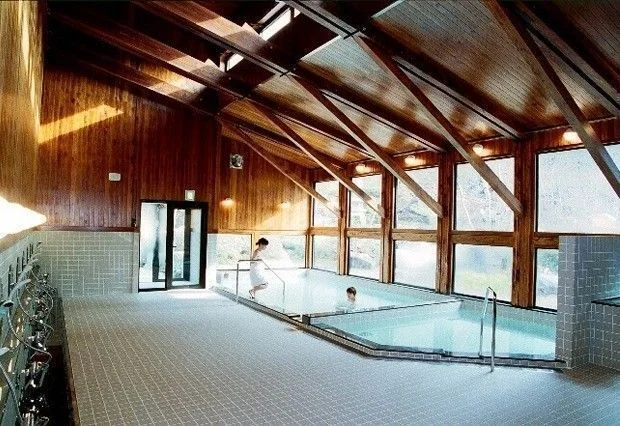 飛騨川温泉 しみずの湯