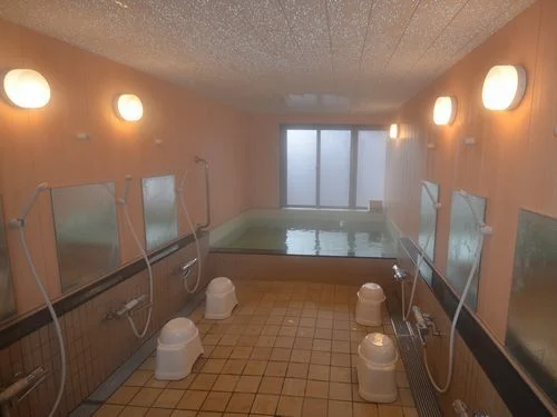 AYUN Takayama Central Hotel - Gifu