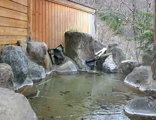 貸別荘 奥飛ログハウス