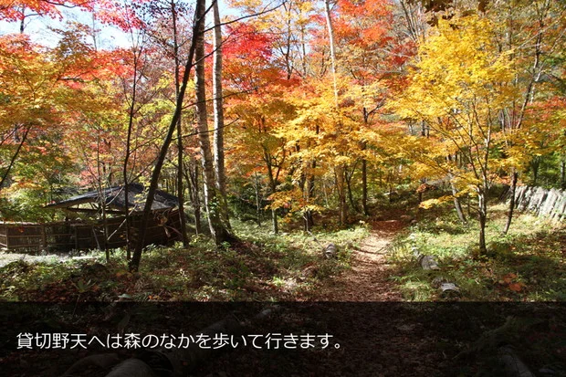 奥飛騨温泉郷 新穂高温泉 野の花山荘