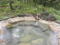 奥飛騨温泉郷 新穂高温泉 野の花山荘
