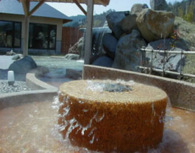 ひだ荘川温泉 桜香の湯