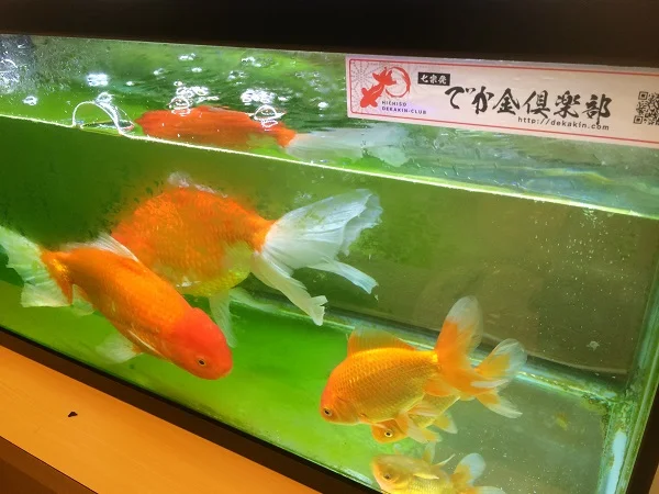 上之保温泉ほほえみの湯