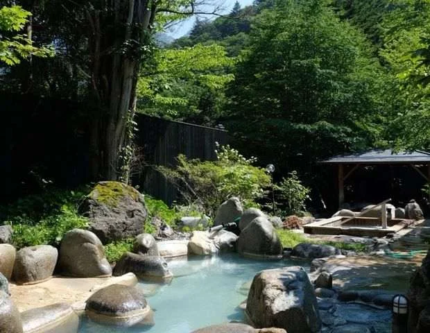 ひらゆの森